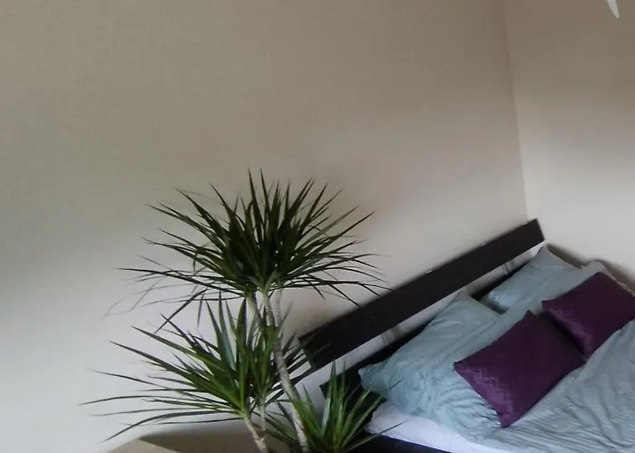 A8 Orlowo Appartement *