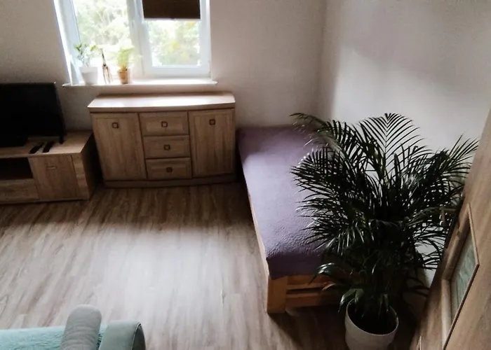 Appartement A8 Orlowo *